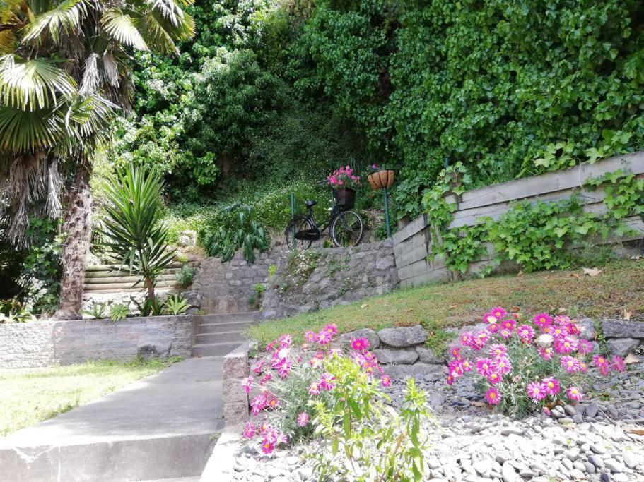 Shakespeare Cottage Napier Εξωτερικό φωτογραφία